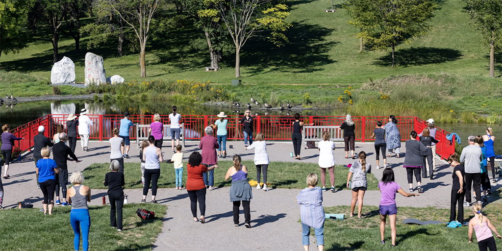 photo of people doing yoga in a park
