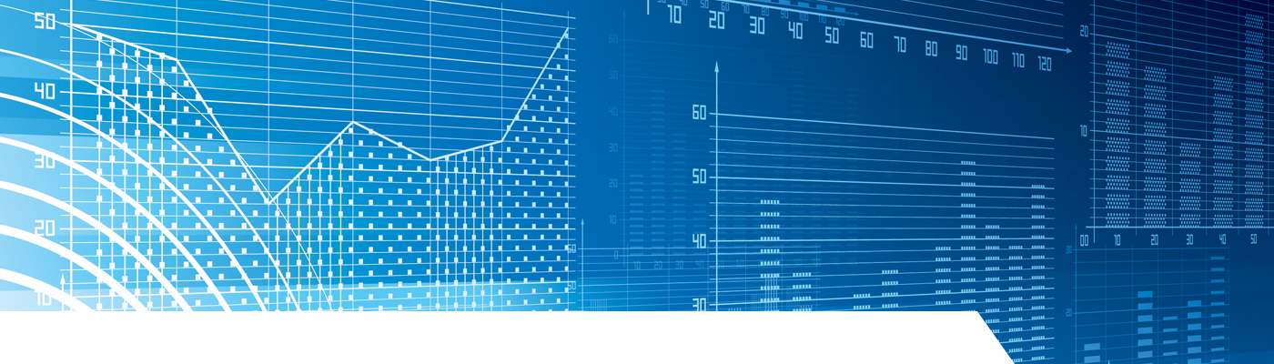 Certificate in Basic Excel Functions for Data Analysts