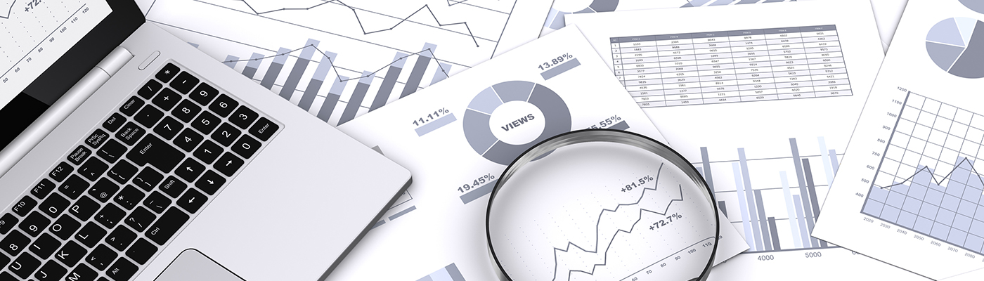 Certificate in Survey Process