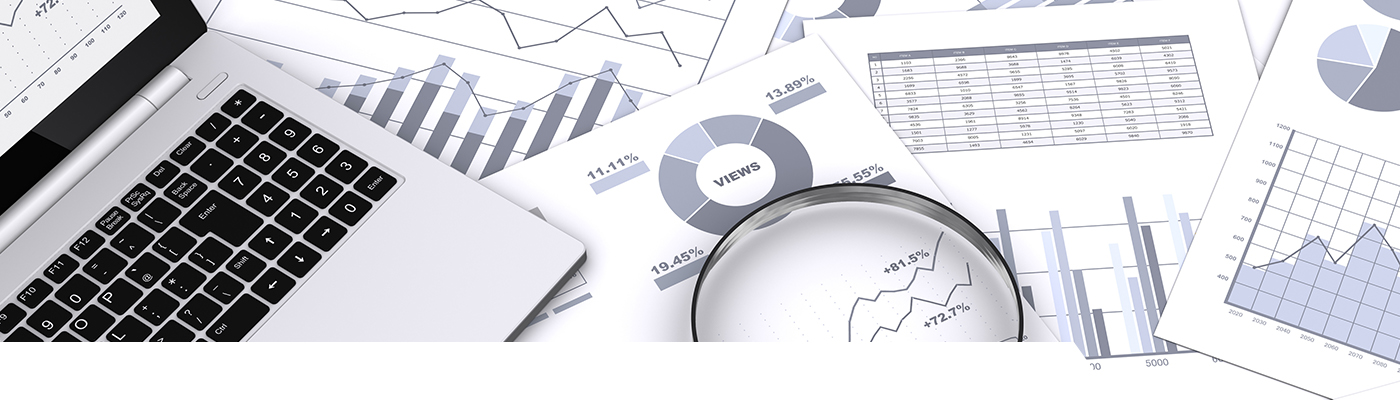 Certificate in Survey Process
