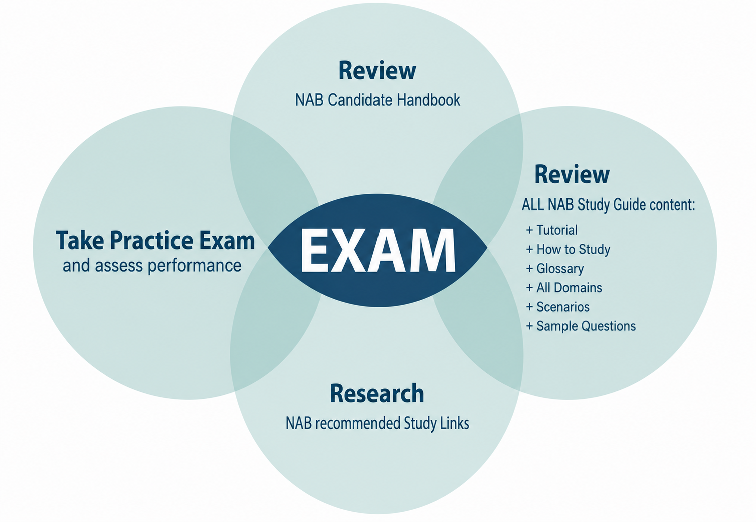 Exam Infographic