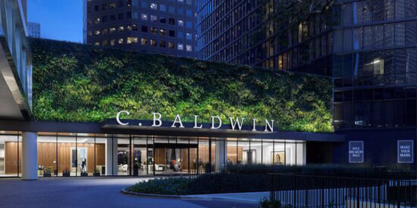 C. Baldwin, Curio Collection by Hilton