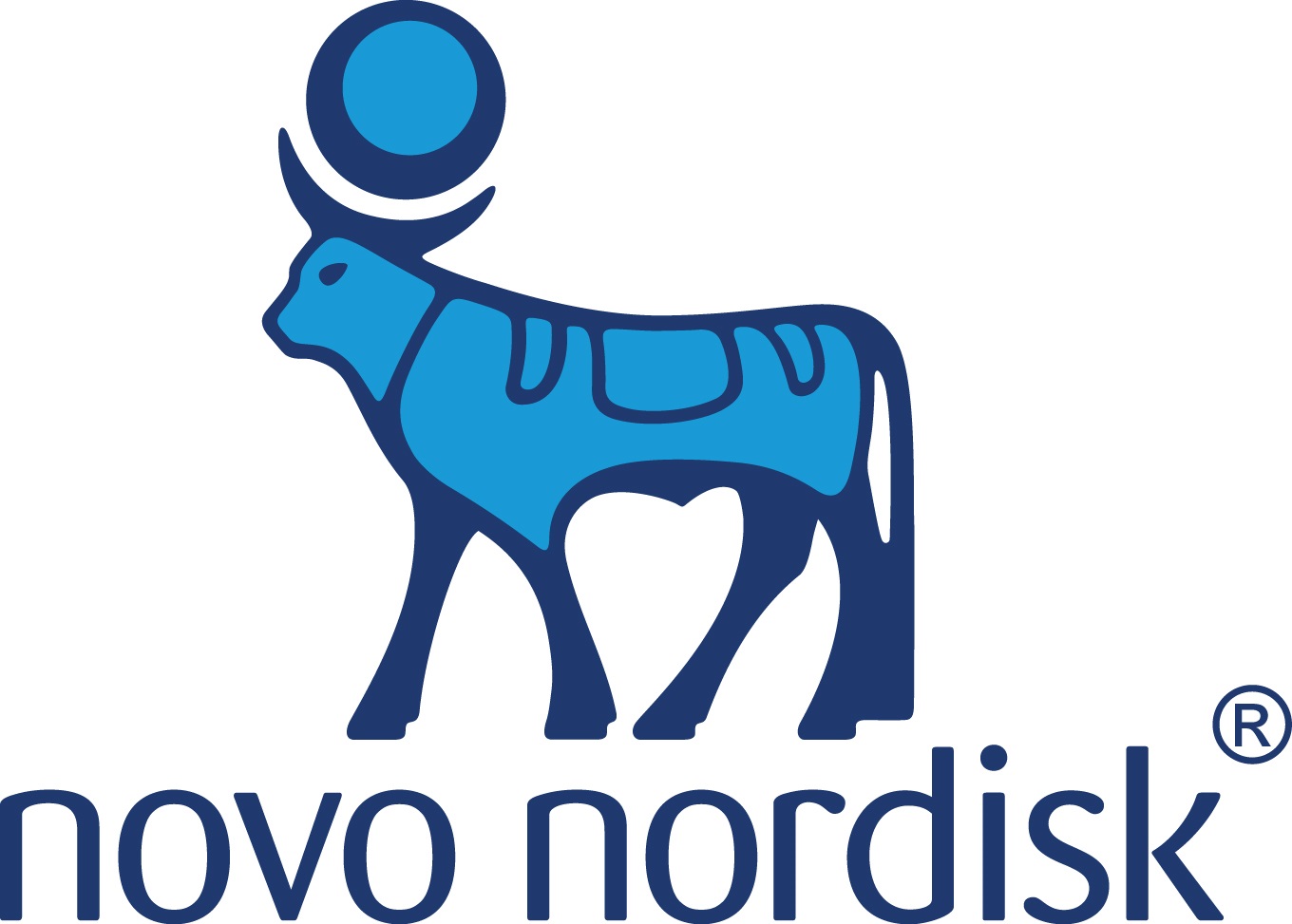 novo_logo.jpg