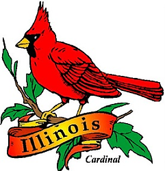 state bird of Illinois - Northern Cardinal