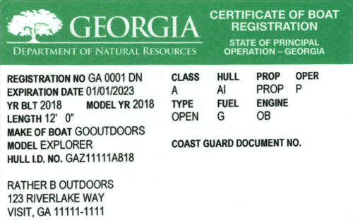 Georgia State Registration Card