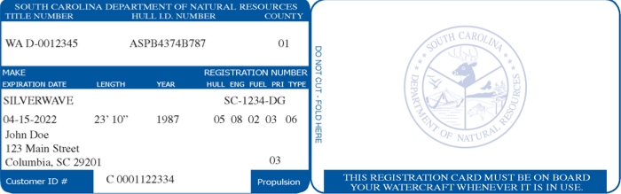 South Carolina State Registration Card
