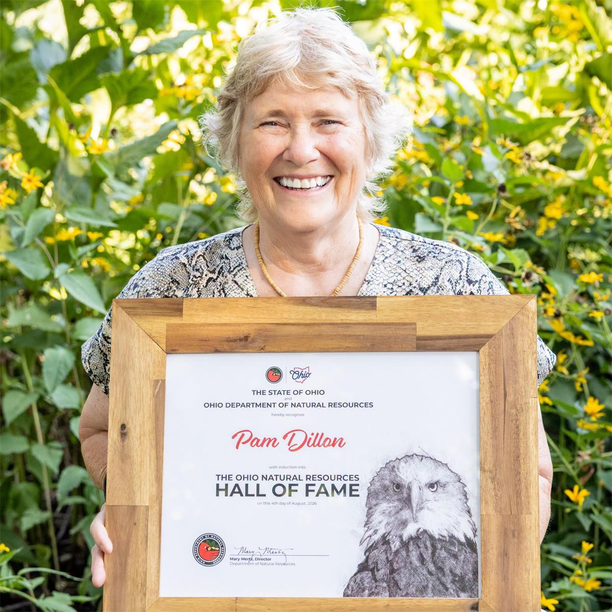 Pam Dillon