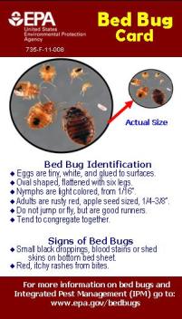 EPA Bed Bug Card