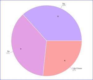 Pie chart showing 11 No respones; 11 Yes repsonses; and 8 I don't know responses