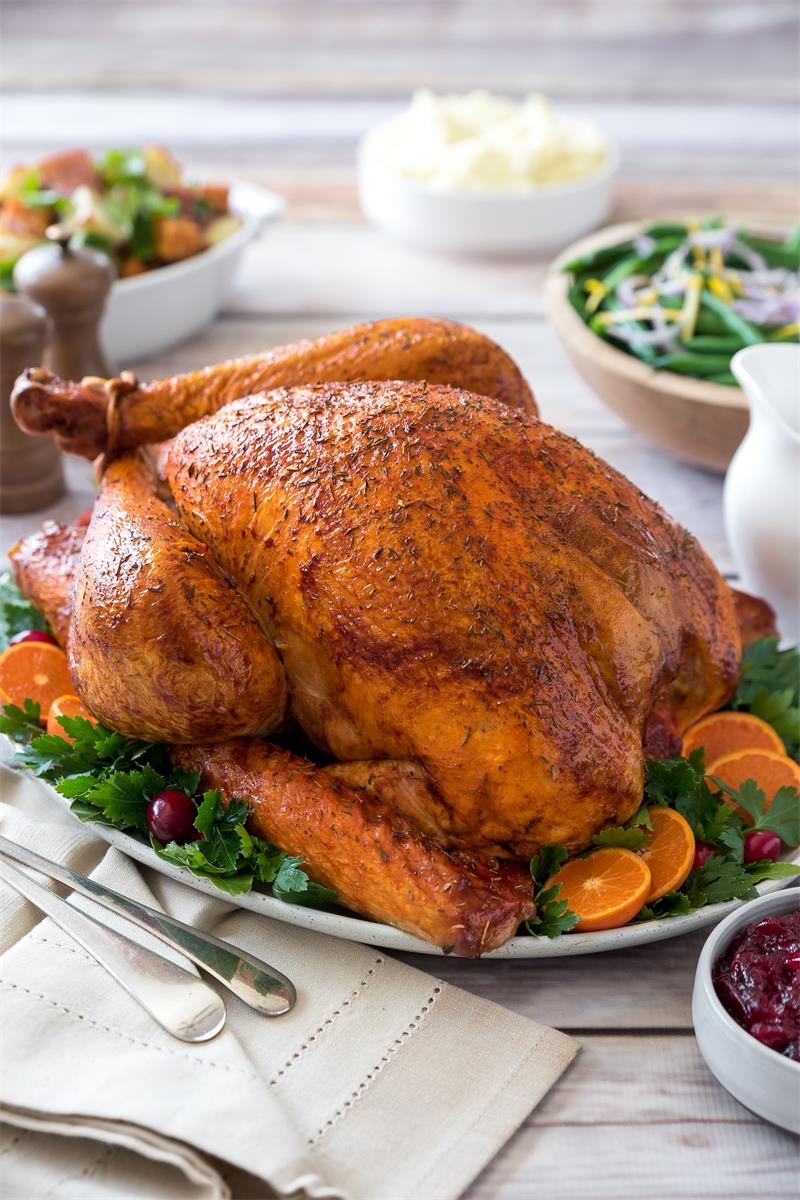 A photo of a turkey with the saturation at an appropriate level.