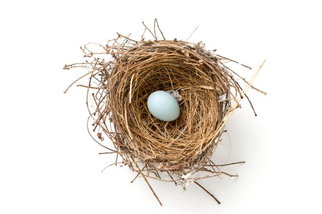 iStock-515919338.jpg