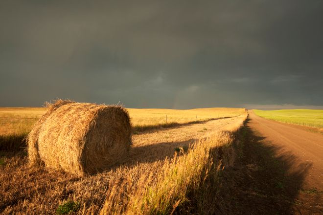 storm clouds over field