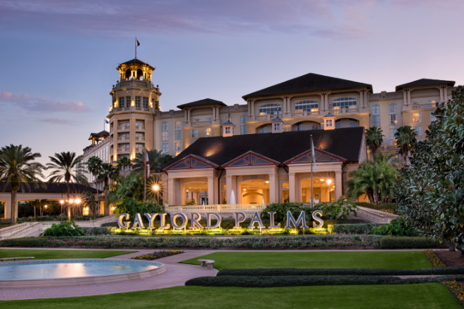 Gaylord palms