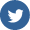 Twitter icon