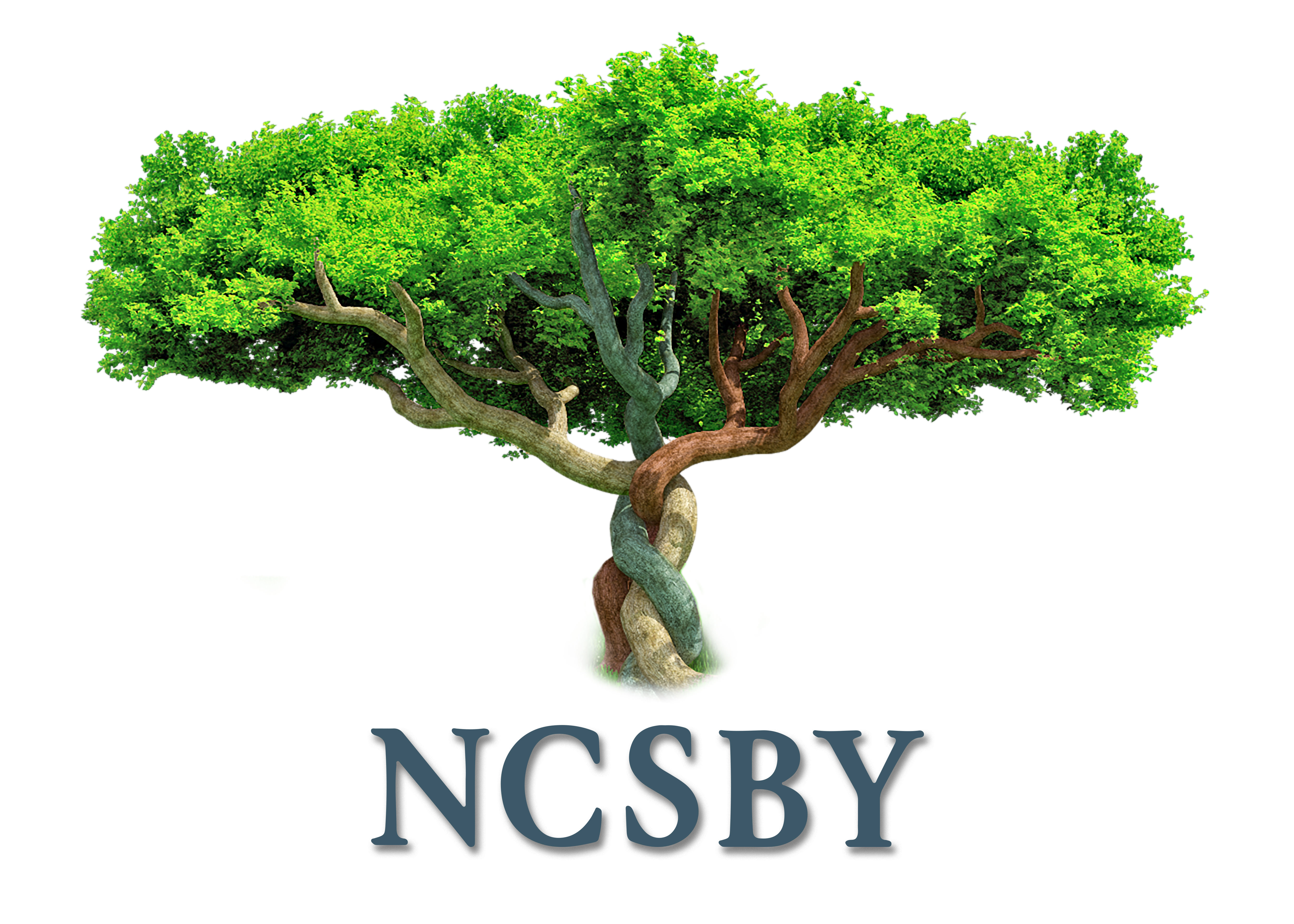 NSSBY Art Exhibition logo. This will take you to the homepage