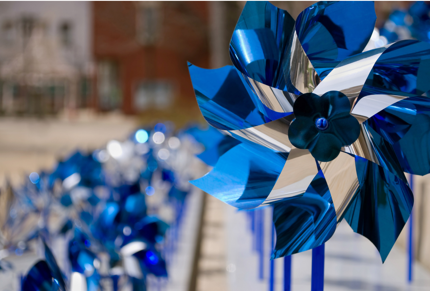 Blue pinwheel - the national symbol for child abuse prevention