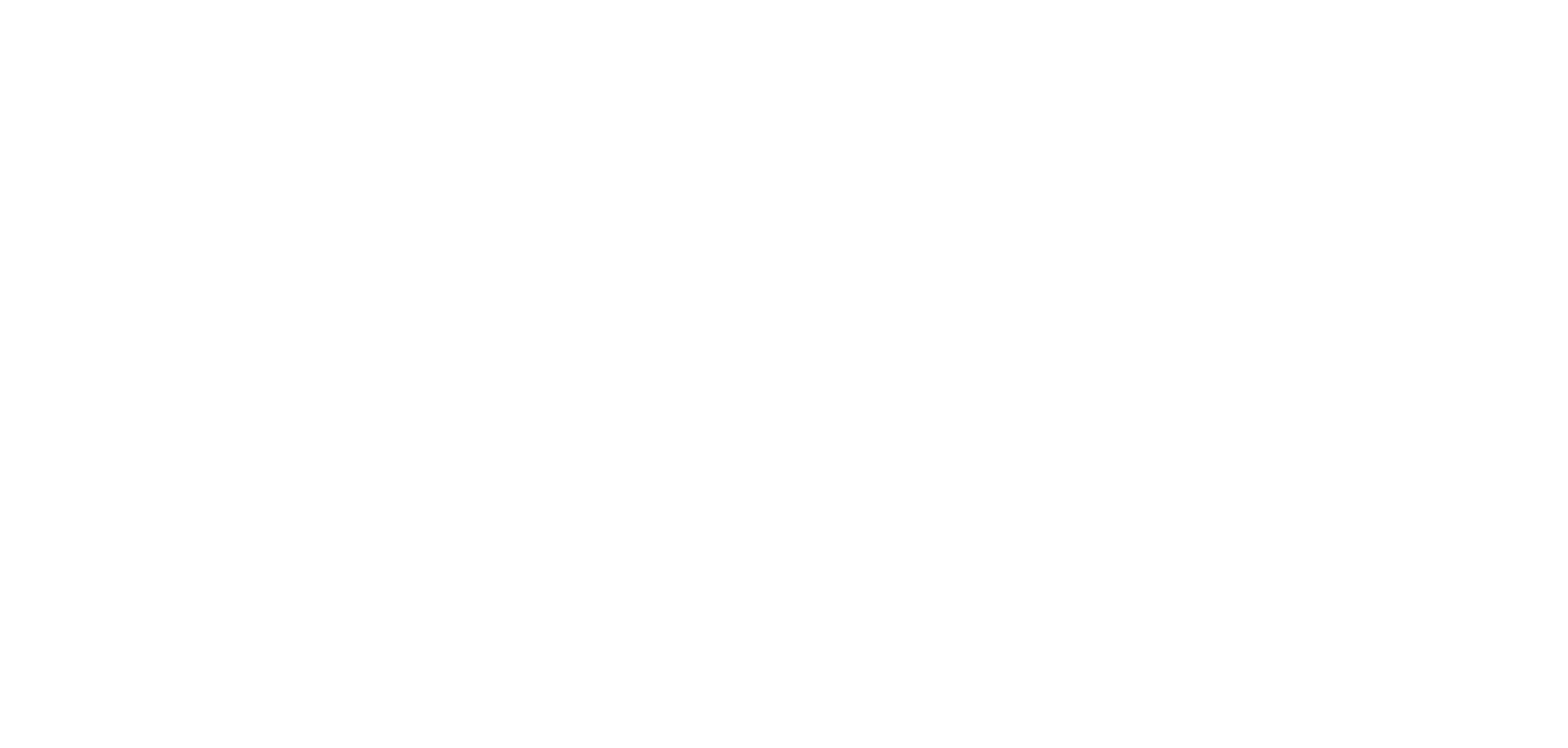 logo_white.png