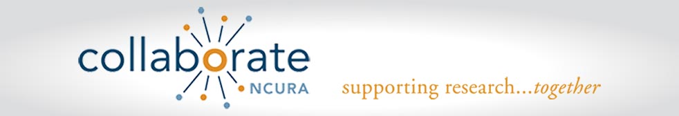 NCURA MAIN Test logo. This will take you to the homepage