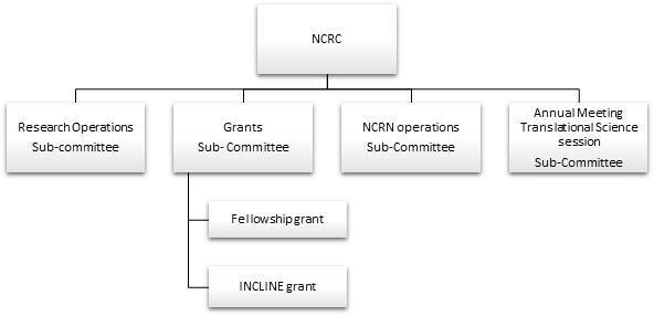 NCRC Subcommittees NCRC Subcommittee Structure