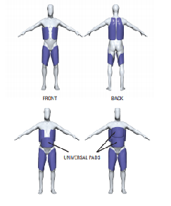 fig_2.png
