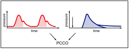 CVM Chapter_Figure 5_Calibration of PUlse Contour Analysis