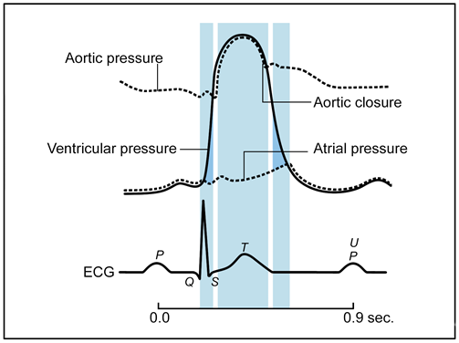 CVM Chapter_Figure 7_ECG and the Cardiac Cycle