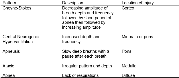 Respiratory Chapter_Table 3_Abnormal Respiratory Patterns