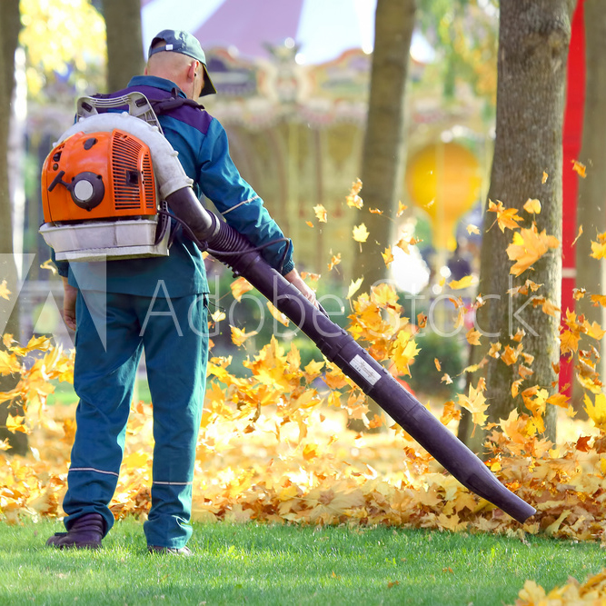 seasonal-worker-AdobeStock_290575018_Preview.jpg