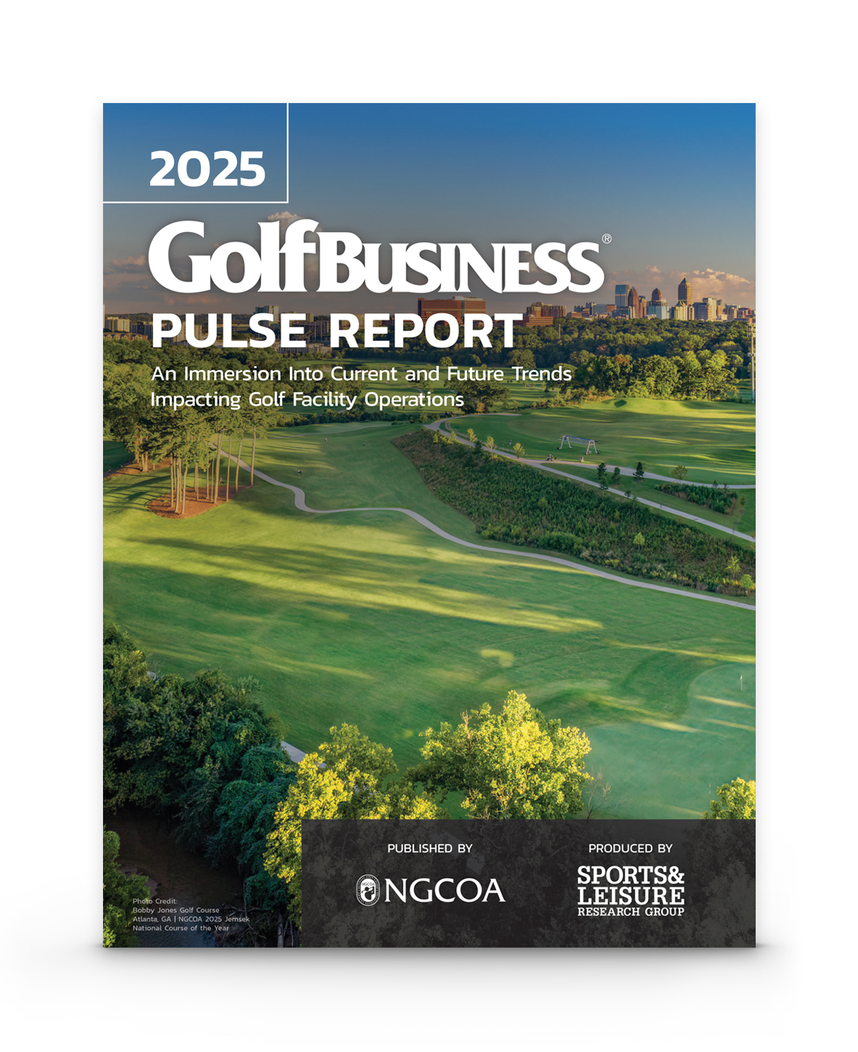 2025 pulse report cover