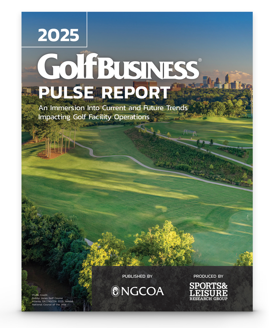 2025 pulse report cover