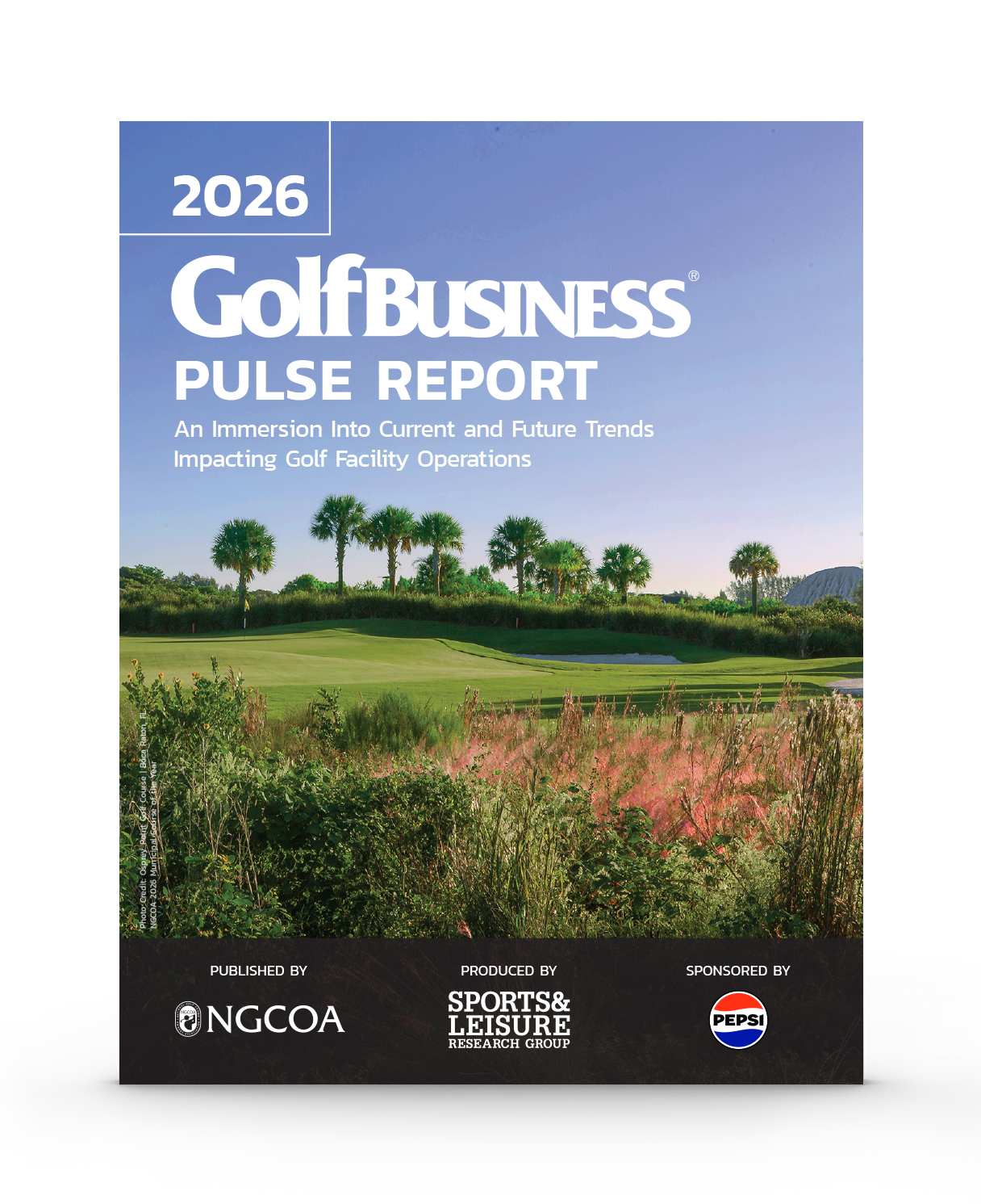 2026_pulse_report