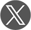 x icon
