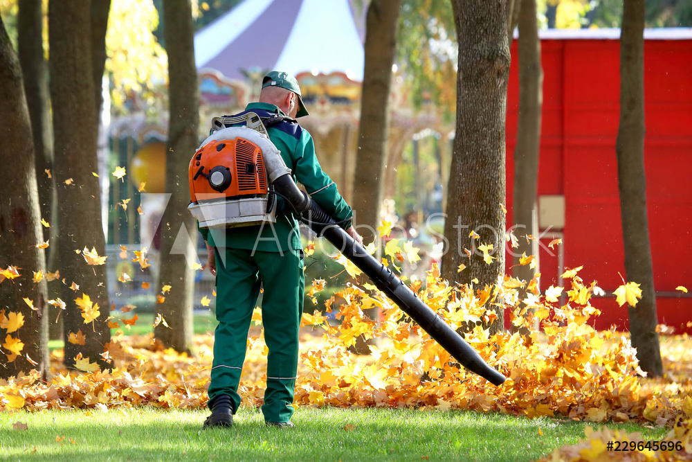worker blowing leaves