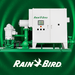 Rainbird