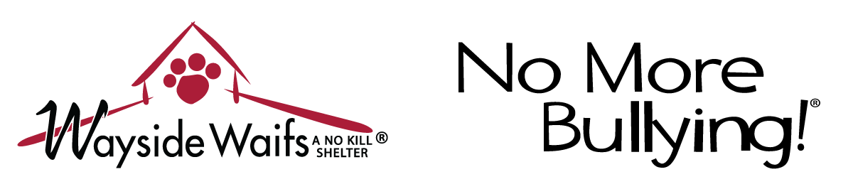 Wayside C.A.R.E.S. logo. This will take you to the homepage