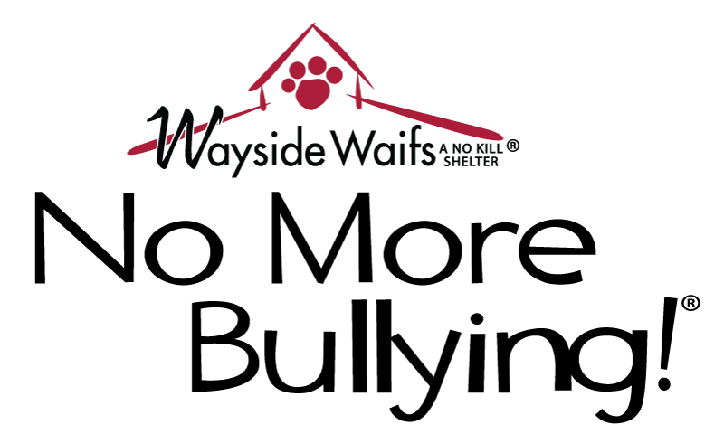 Wayside C.A.R.E.S. logo. This will take you to the homepage