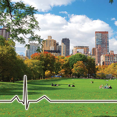 volunteer opportunity image