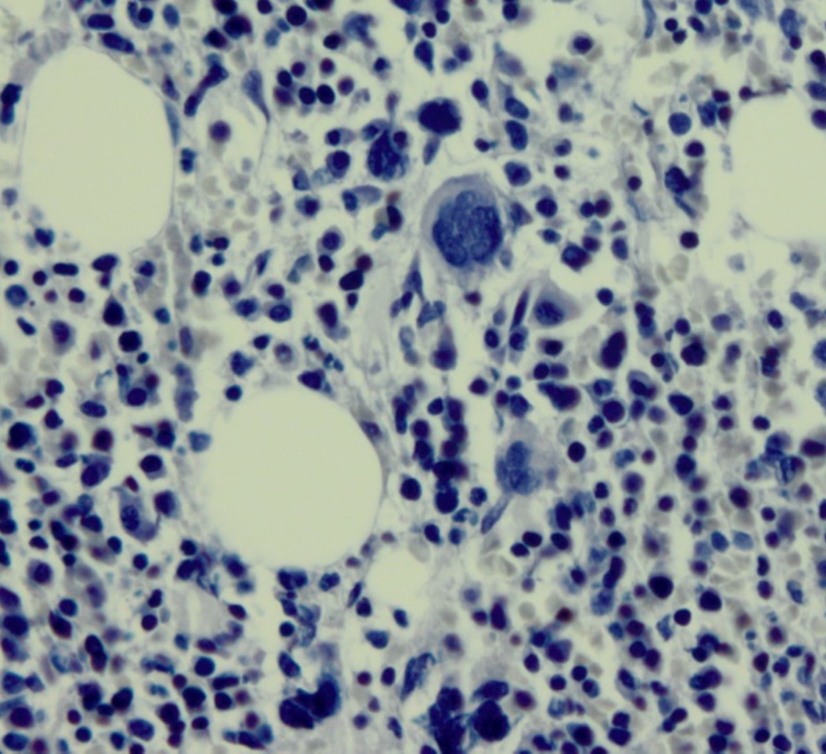 Troubleshooting Histology