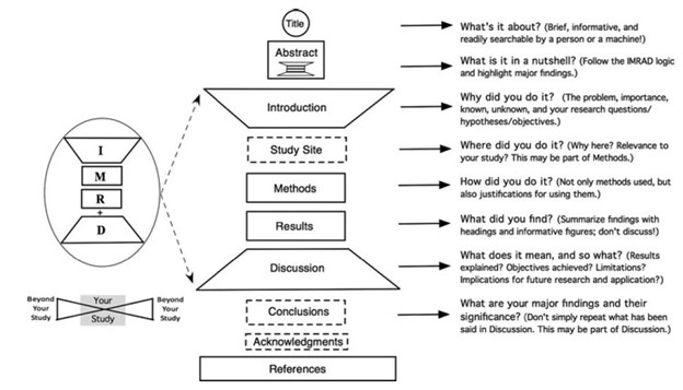 Literature Review Diagram