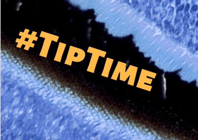 #TipTime