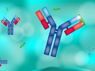 The Discovery of Antitoxins: The History of the Modern Antibody