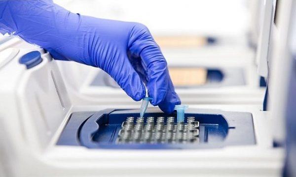 Labotomy Pcr If I Knew What I Know Now: Onboarding PCR in a Histology Lab