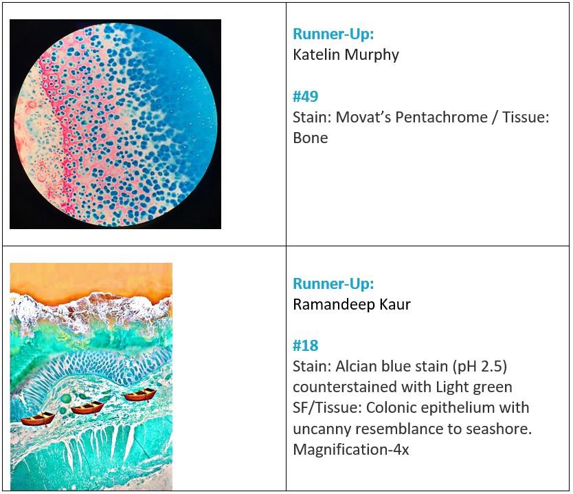 2022 Histology Professionals Art of the Stain Runners Up Images