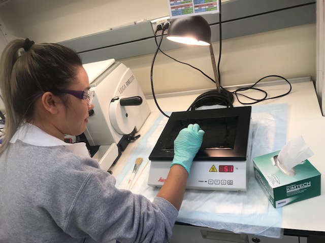 Histology Student at a Waterbath