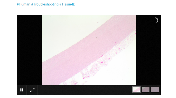 Image Bank on the Block