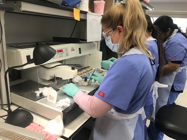 Histology Student Embedding