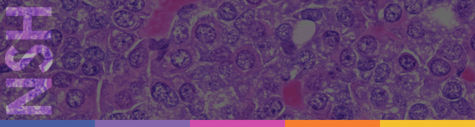 Home National Society for Histotechnology