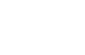 NSPE-NV