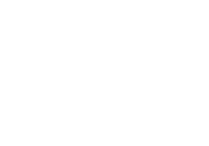 Puerto Rico Society of Professional Engineers