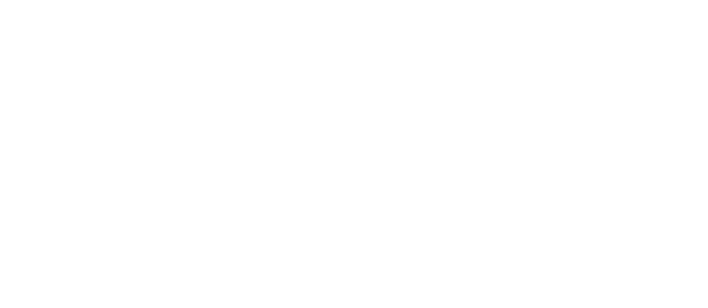 NSPE Logo